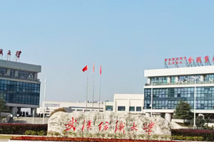 武漢紡織大學實驗室超純水機