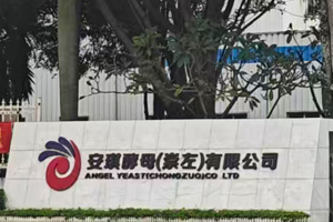 安琪酵母（崇左）有限公司實驗室純水機